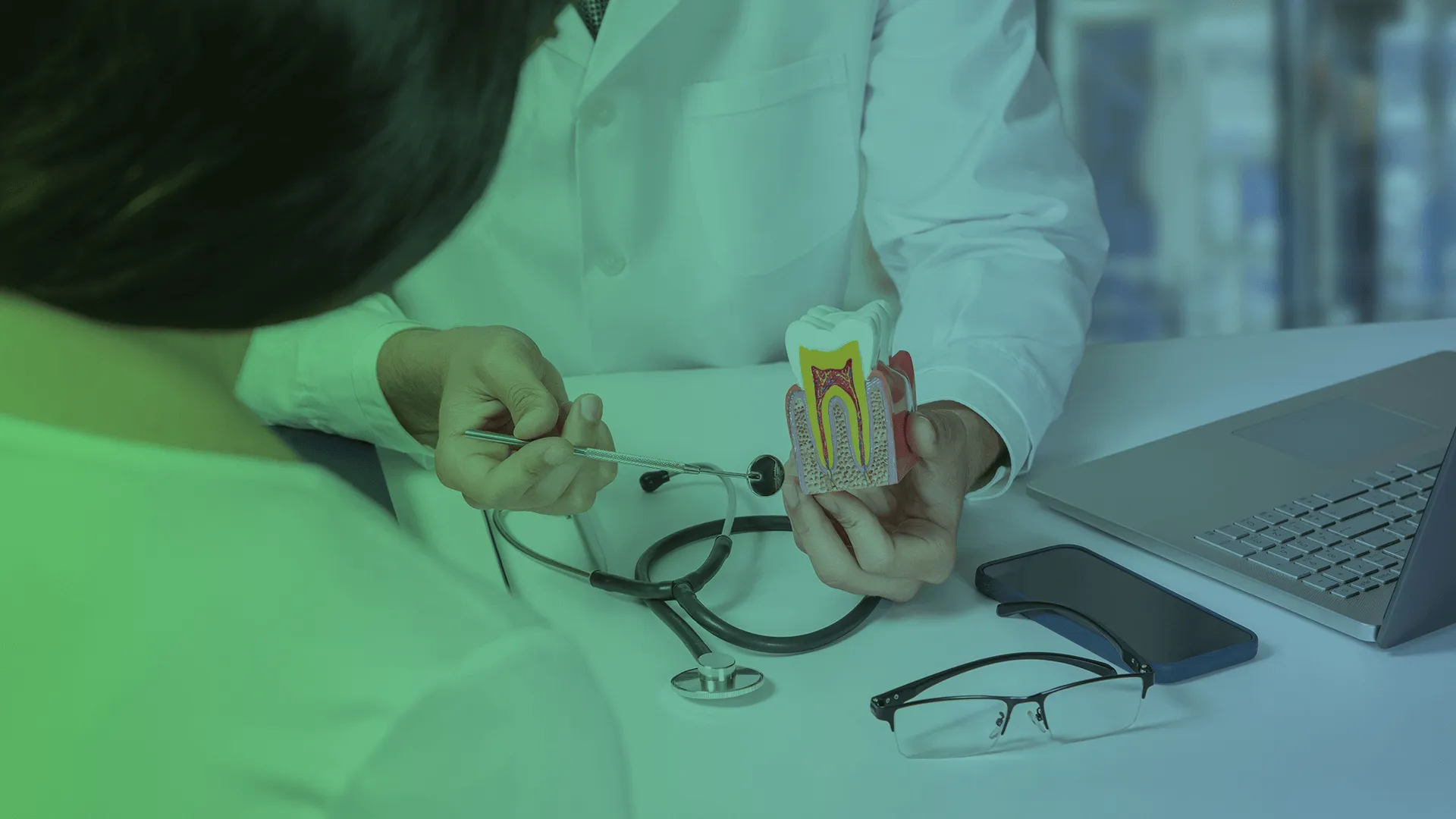 Dentist showing inside of a tooth